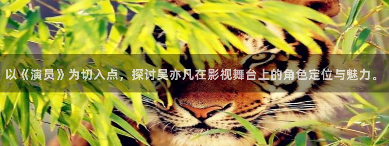 红叶影视下载app官方下载：以《演员》为切入点，探讨吴亦凡在影视舞台上的角色定位与魅力。