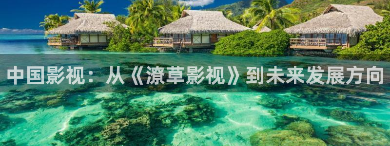 红叶影视：中国影视：从《潦草影视》到未来发展方向