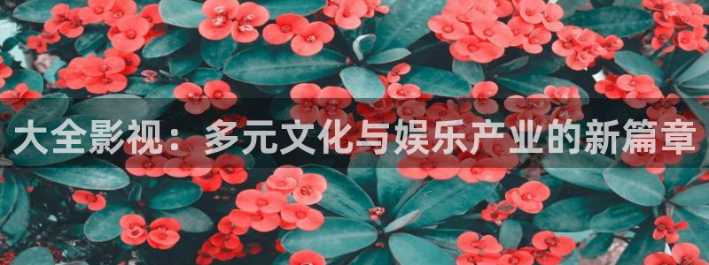 六安红叶影城今日影讯：大全影视：多元文化与娱乐产业的新篇章