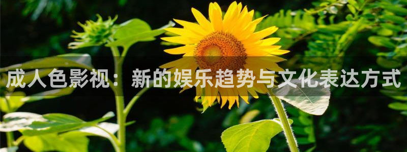 红叶影视官网：成人色影视：新的娱乐趋势与文化表达方式