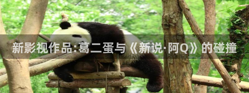 六安红叶电影院今日影讯：新影视作品:葛二蛋与《新说·阿Q》的碰撞