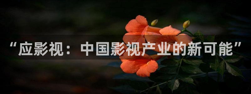 红叶电影：“应影视：中国影视产业的新可能”