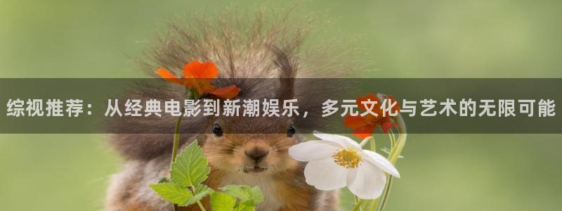 红叶影视app官方下载：综视推荐：从经典电影到新潮娱乐，多元文化与艺术的无限可能