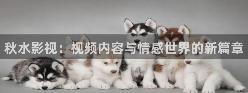 红叶影城电影：秋水影视：视频内容与情感世界的新篇章