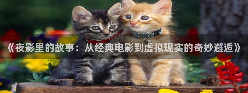 红叶影城：《夜影里的故事：从经典电影到虚拟现实的奇妙邂逅》