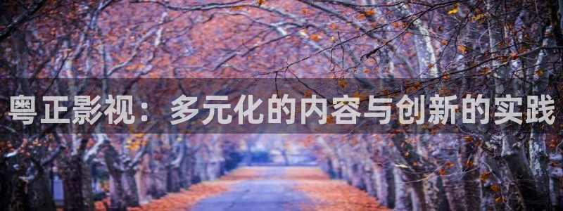 红叶影视完整版：粤正影视：多元化的内容与创新的实践