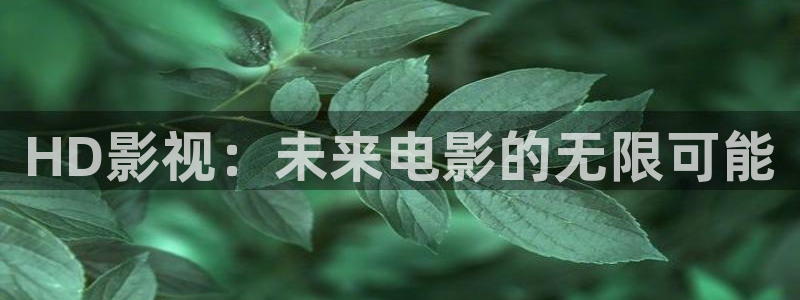 红叶电影院今日影讯：HD影视：未来电影的无限可能