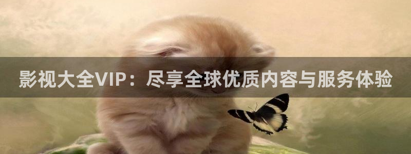 六安红叶影城电影：影视大全VIP：尽享全球优质内容与服务体验