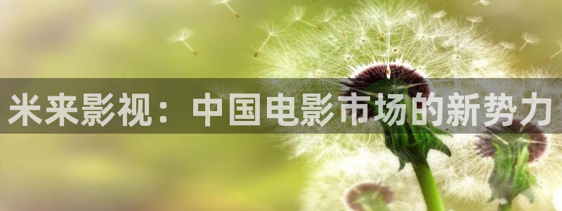 红叶影院下载：米来影视：中国电影市场的新势力